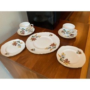 Duchess Bone China Tea set for 2, 7 pieces. Vintage Fall Pattern. RARE